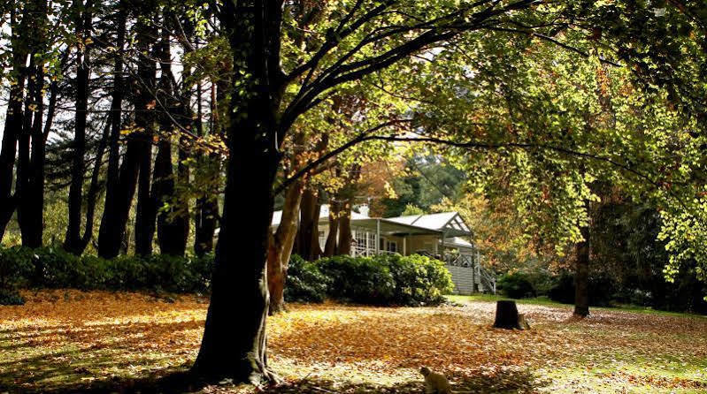 Moulton Park Estate - *